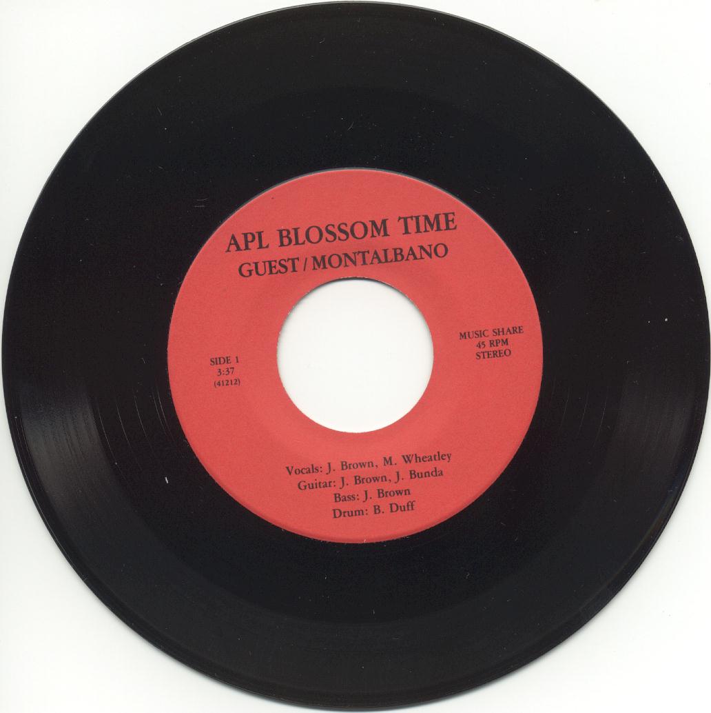 http://www.smartarrays.com/downloads/aplblossomtime/record1.jpg